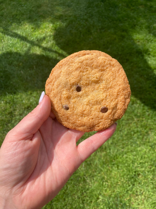 Chocolate chip cookie
